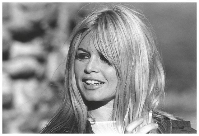 Fallece la mítica actriz francesa Brigitte Bardot: este era su estrecho vínculo con la Costa del Sol - Brigitte Bardot Brigitte Bardot, mito del cine internacional