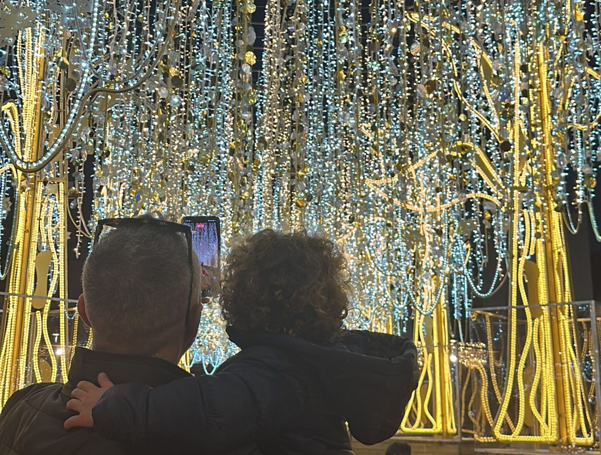 Horarios para ver el espectáculo de música y luz del Bosque Mágico de Navidad de Fuengirola - espectaculo luces espectáculo luces