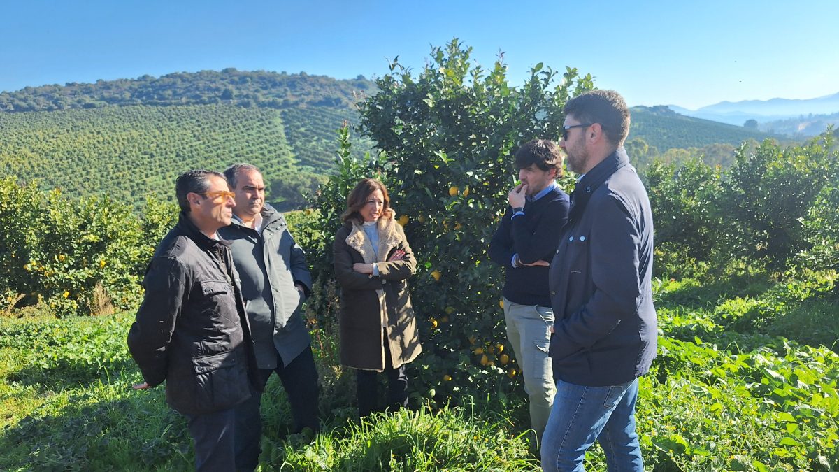 Más de 2 millones en ayudas a más de 2.000 agricultores malagueños afectados por la sequía y las DANAS - patriciaNavarro agricultores Pizarra patricia Navarro agricultores Pizarra