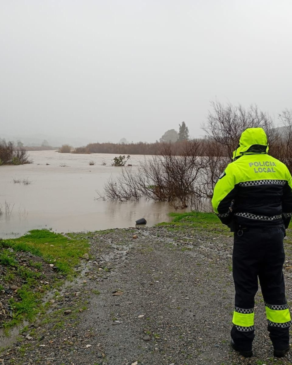 Actualización del temporal en Casares: desbordamientos, árboles caídos y restricciones - 623364782 1407009498137930 7247274092669735997 n temporal
