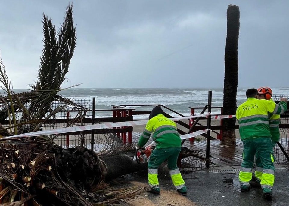 Alerta por fuertes vientos en Mijas: estas son las recomendaciones para extremar la precaución - 623523101 18189921676356565 1463234751570196721 n e1769520324841 vientos