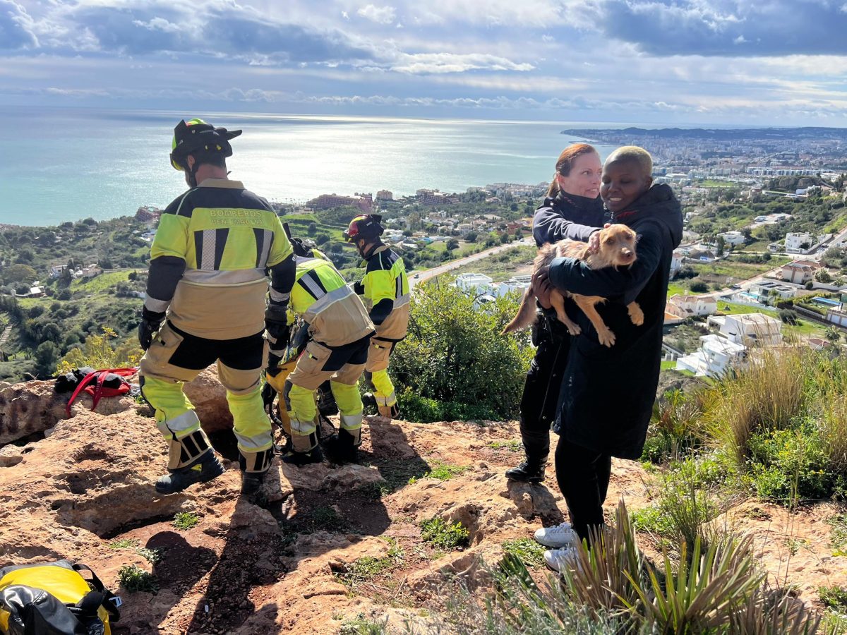 Un susto con final feliz: rescatan a un perro tras caída en el mirador de Benalmádena - Benalmadena rescate Cuco Rescate de Cuco