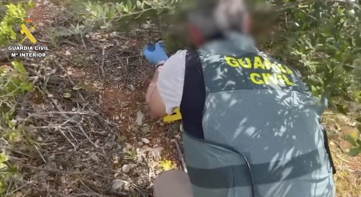 La Guardia Civil rescata 125 animales e investiga a 66 personas por maltrato y caza furtiva en Málaga - Captura de pantalla 2026 01 29 a las 10.25.33 delito contra fauna