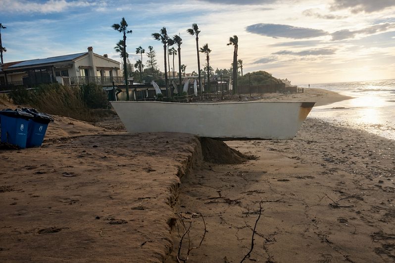 Marbella retira más de 1.460 toneladas de cañas del litoral tras los últimos temporales - IMG 2556 Marbella temporal