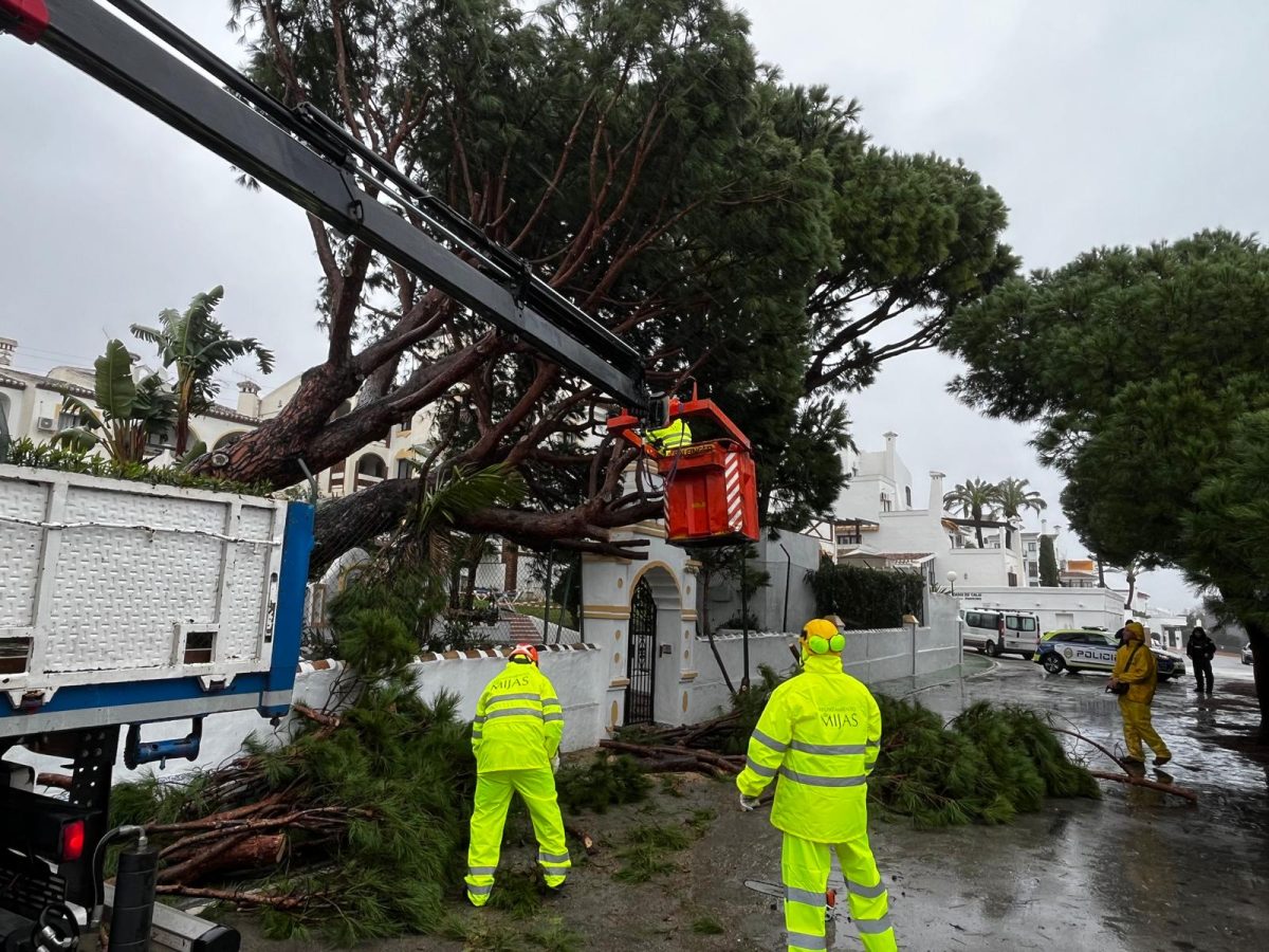 El temporal obliga a intervenir en viviendas de Mijas por caídas de techos y acumulación de agua - Temporal final enero 2026 6 Temporal
