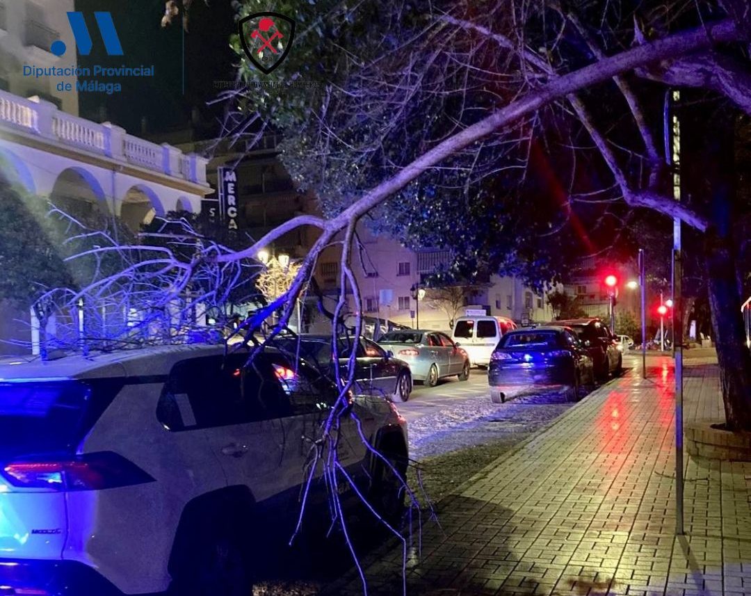 El viento provoca más de veinte avisos por caída de ramas, toldos y alumbrado en la provincia de Málaga - WhatsApp Image 2026 01 22 at 15.09.46 e1769092360431 Consecuencias viento