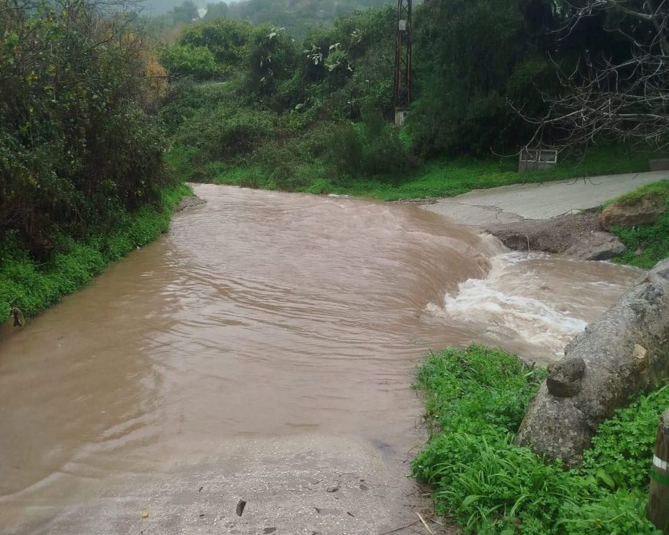 Cortadas la carretera de Los Pedregales, el Camino de Los Pescadores y el Camino de Gaucín en Casares por las lluvias - WhatsApp Image 2026 01 27 at 14.46.21 e1769522134582 carreteras