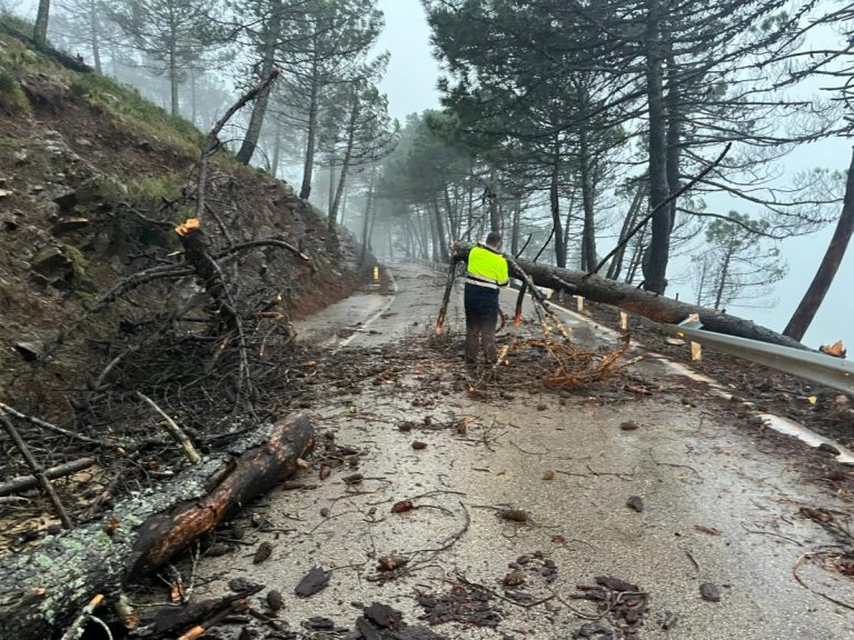 Si vas a coger el coche en la Serranía de Ronda, estas son las carreteras cortadas o con incidencias - WhatsApp Image 2026 01 28 at 13.25.37 1 Si vas a coger el coche en la Serranía de Ronda, estas son las carreteras cortadas o con incidencias - WhatsApp Image 2026 01 28 at 13.25.37 1