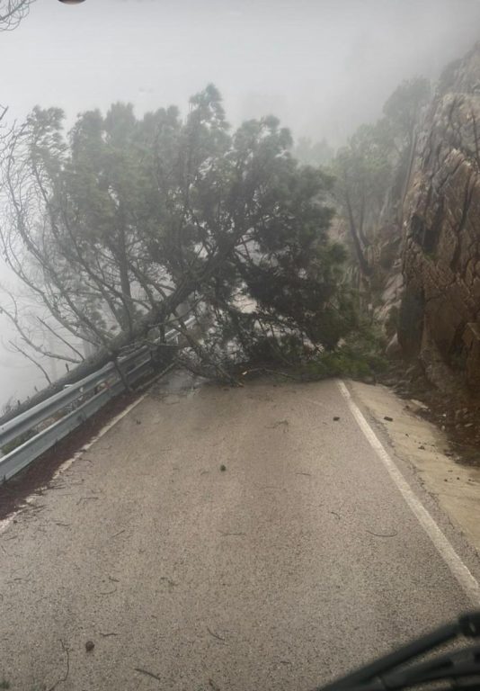 Si vas a coger el coche en la Serranía de Ronda, estas son las carreteras cortadas o con incidencias - WhatsApp Image 2026 01 28 at 13.25.38 1 Si vas a coger el coche en la Serranía de Ronda, estas son las carreteras cortadas o con incidencias - WhatsApp Image 2026 01 28 at 13.25.38 1