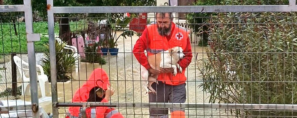 Una veintena de vecinos de Cártama pasa la noche desalojada por la crecida del río Guadalhorce - cartama lluvia borrasca francis e1767607398590 cartama lluvia borrasca francis