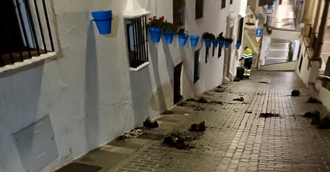 Macetas arrancadas, cascotes y jardineras volcadas: el vandalismo daña Mijas Pueblo durante la noche - vandalismo mijas pueblo e1768914411788 vandalismo mijas pueblo