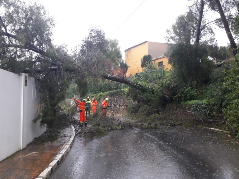 Árboles caídos, viviendas anegadas y fachadas dañadas: 40 intervenciones por el temporal en Marbella - 628433270 18343210504210968 7246413446347549643 n Árboles caídos, viviendas anegadas y fachadas dañadas: 40 intervenciones por el temporal en Marbella - 628433270 18343210504210968 7246413446347549643 n
