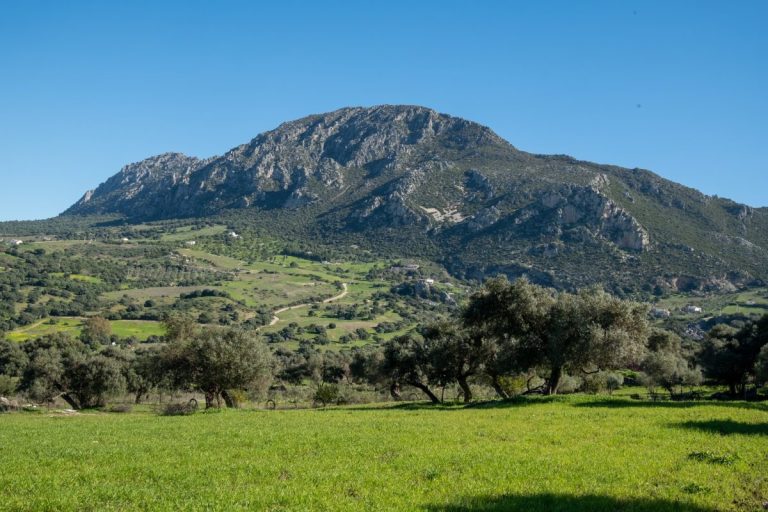 La comparsa ‘El Patriota’ lleva a Blas Infante al corazón de Casares tras su éxito en el COAC 2026 - 641295600 1435501795288700 1445887451575303790 n La comparsa ‘El Patriota’ lleva a Blas Infante al corazón de Casares tras su éxito en el COAC 2026 - 641295600 1435501795288700 1445887451575303790 n