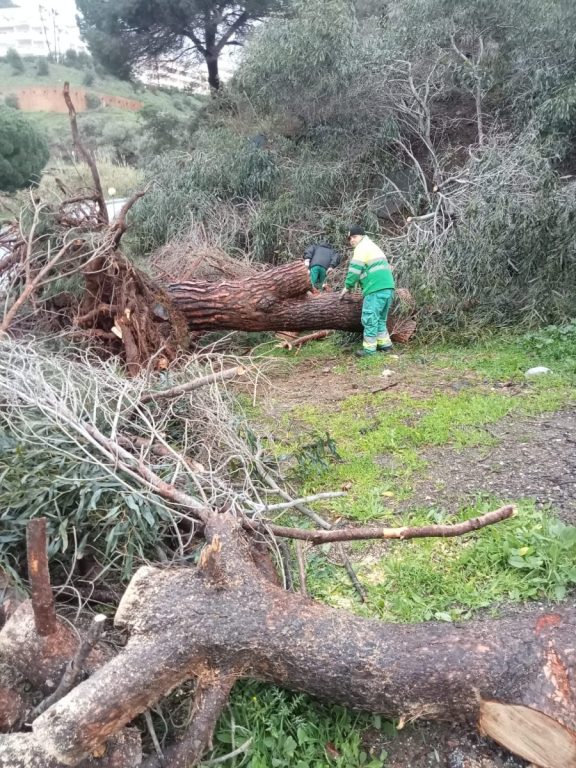 Mijas activa el plan territorial de emergencia en prealerta por los avisos meteorológicos - Archivo Temporal final enero 2026 2 Mijas activa el plan territorial de emergencia en prealerta por los avisos meteorológicos - Archivo Temporal final enero 2026 2