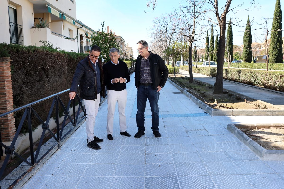 Finaliza la renovación del acerado en la avenida Burgos de San Pedro Alcántara - J07A7169 acerado