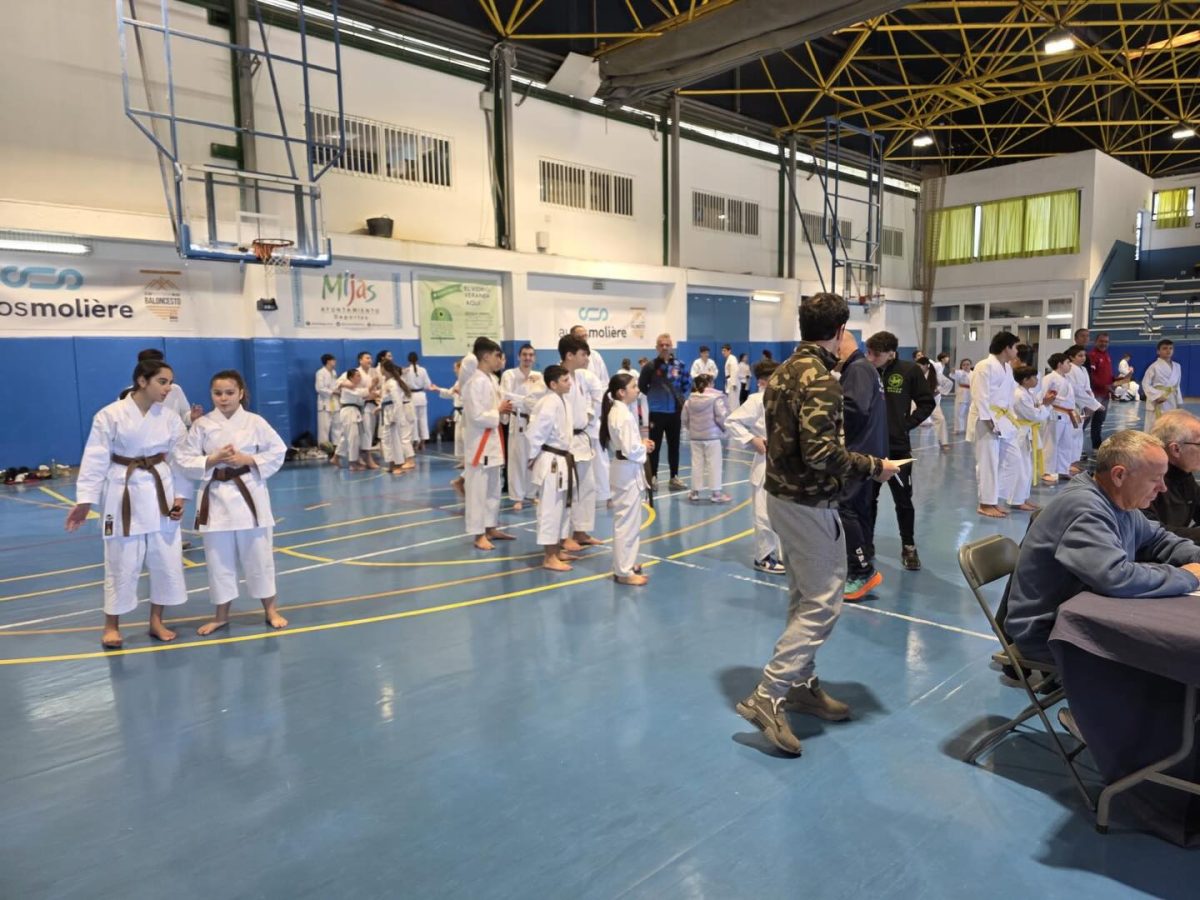 Mijas celebra la II Jornada de Karate con 300 deportistas en Las Lagunas - Mijas karate Jornada de karate