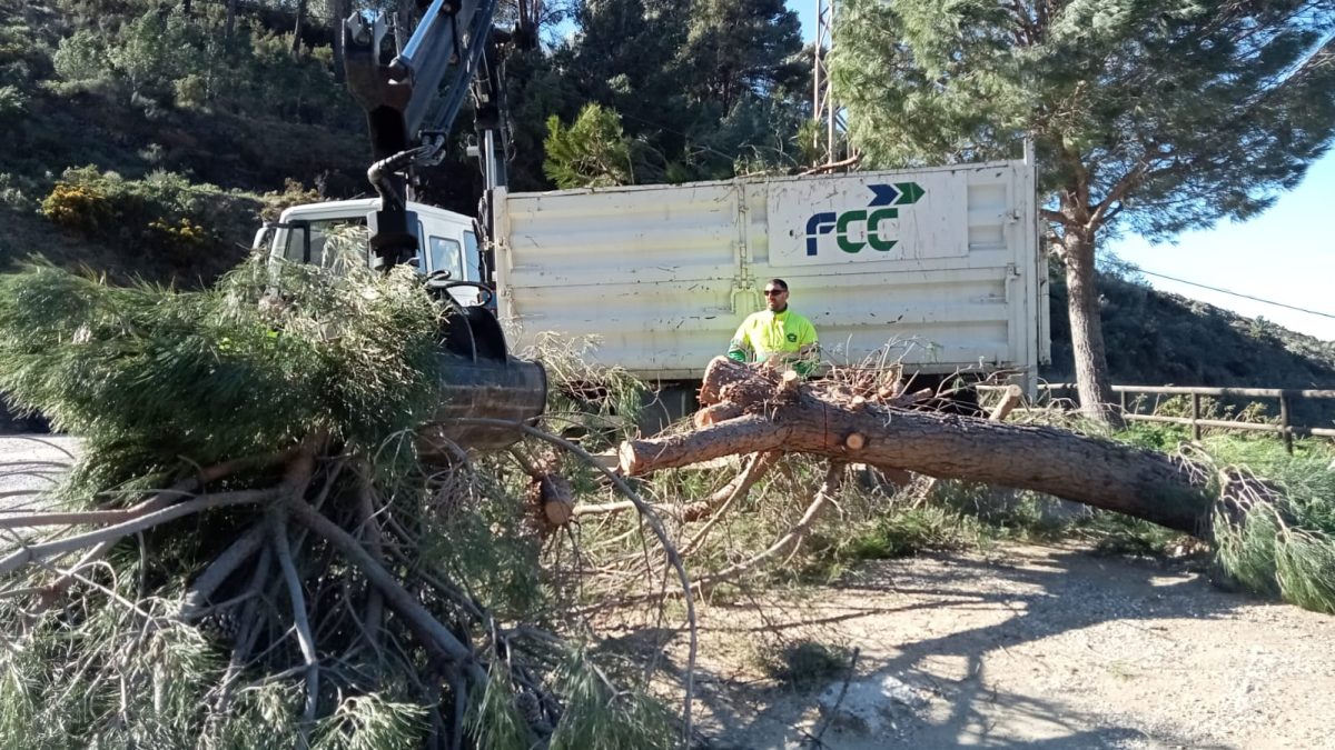 El temporal causa daños por más de 112.000 euros en Mijas - Temporal de viento Temporal de viento