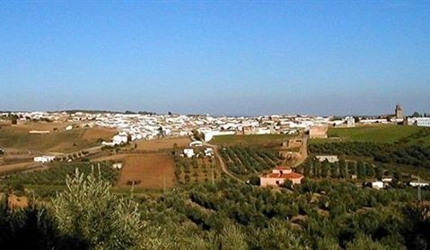 El pueblo de Adamuz, Medalla de Andalucía por la solidaridad tras el accidente ferroviario - adamuz 3930 e1771419172525
