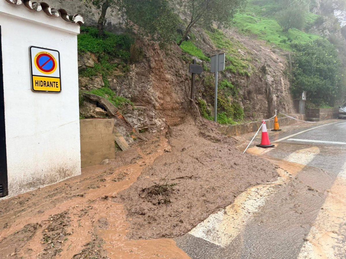 La Junta reclama ERTE especiales por el temporal con las mismas condiciones que en la Covid - corte carretera casares borrasca leonardo corte carretera casares borrasca leonardo