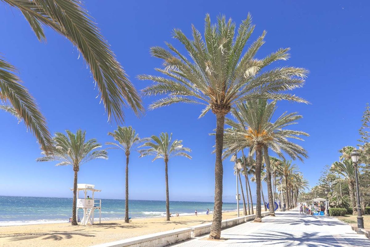 Lujo, golf y promoción global: Marbella intensifica su presencia en mercados clave - Marbella paseo maritimo Marbella se lanza a la conquista de nuevos turistas con una agenda internacional de alto nivel