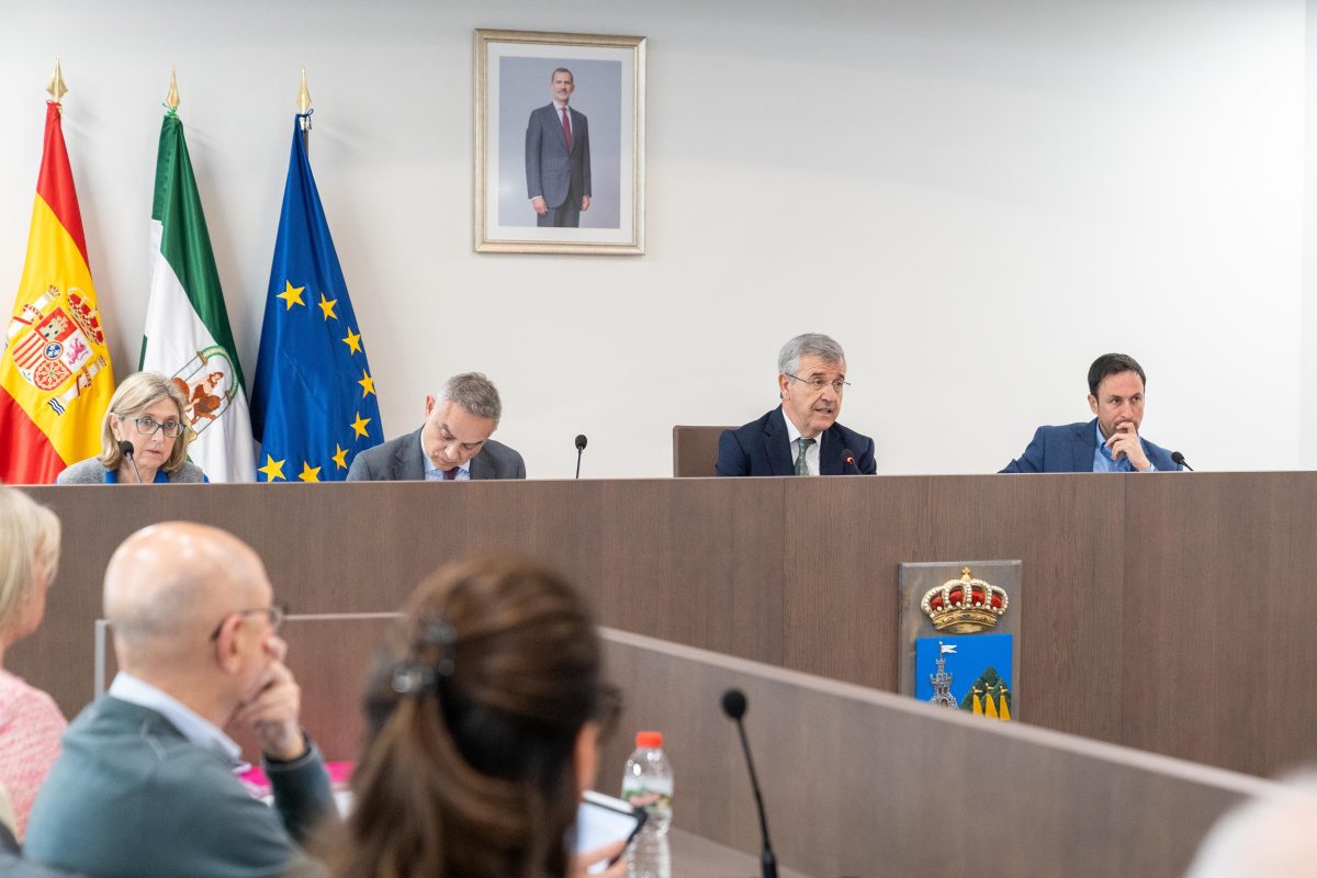 Estepona ofrece seis parcelas para construir 109 VPO y facilitar el acceso a la vivienda asequible - pleno ayuntamiento estepona pleno ayuntamiento estepona