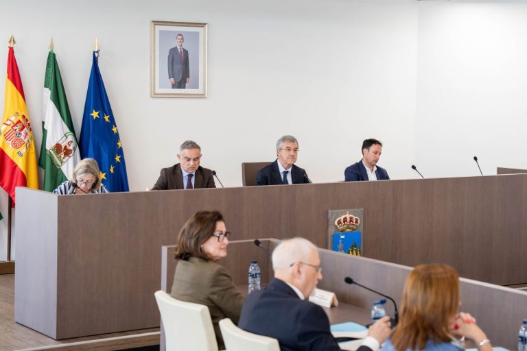 Estepona cierra 2025 con un superávit de 40,29 millones y 90 millones en tesorería - FOTO PLENO ORDINARIO 16 04 26 estepona Estepona cierra 2025 con un superávit de 40,29 millones y 90 millones en tesorería - FOTO PLENO ORDINARIO 16 04 26 estepona