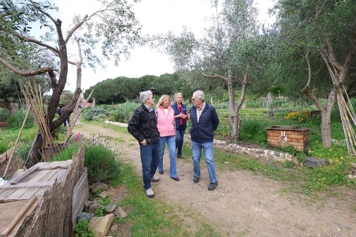 Los huertos urbanos de Marbella, un oasis verde que une a un centenar de vecinos - Marbella huertos urbanos Los huertos urbanos de Marbella crecen tras 15 años de impulso vecinal