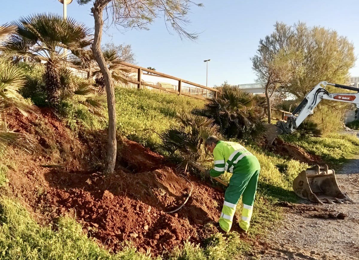 Mijas multiplica por cuatro la plantación de árboles y refuerza su apuesta verde - Mijas Plantacion de arboles Un operario de Mijas