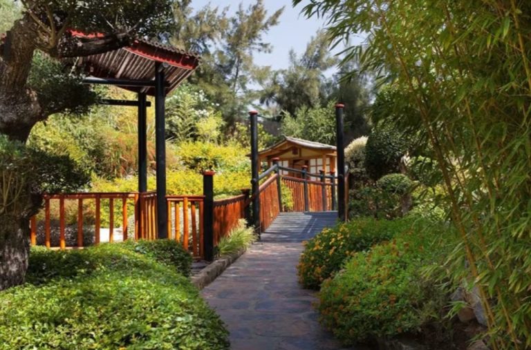 De Japón a África sin salir de Málaga: la Costa del Sol, un viaje por el mundo en pocos kilómetros - jardin botanico molino del Inca Torremolinos jardín botánico molino del Inca Torremolinos
