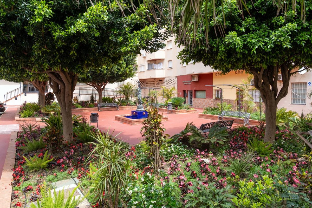 Las plazas Las Musas y Olimpo de Estepona estrenan nueva imagen tras su remodelación integral - remodelacion plazas Las Musas y Olimpo remodelacion plazas Las Musas y Olimpo