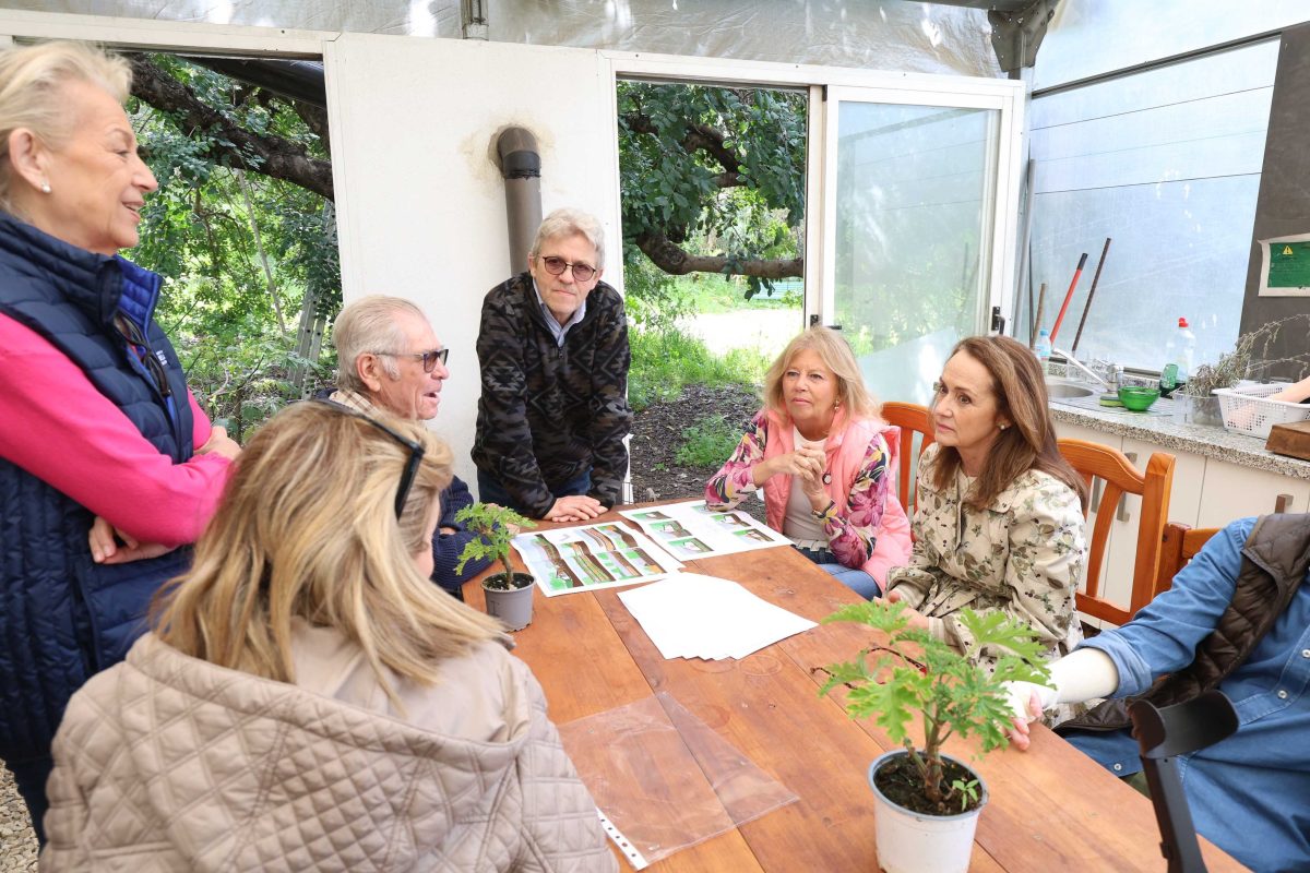 Marbella proyecta un edificio en Huerta del Prado para DEBRA Piel de Mariposa, CADI y otras ONGs - reunion edificio asociaciones marbella reunion edificio asociaciones marbella