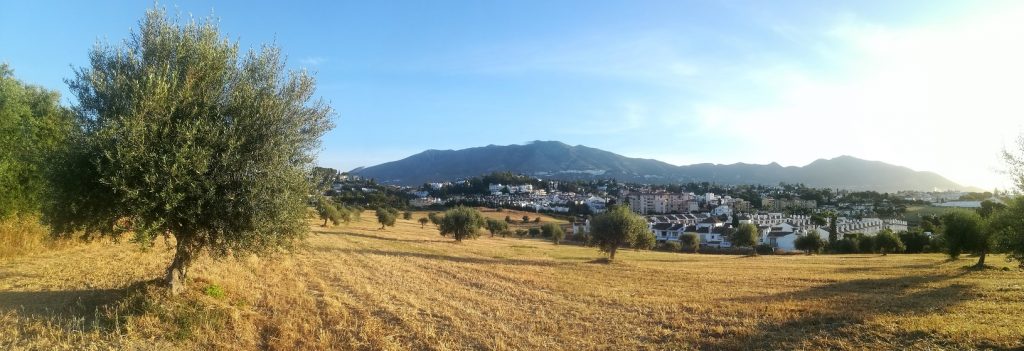 Mijas recuerda a los propietarios la obligación de limpiar y desbrozar parcelas para prevenir incendios y plagas - Desbroce parcelas Mijas El Ayuntamiento de Mijas advierte de sanciones a propietarios que no mantengan sus terrenos