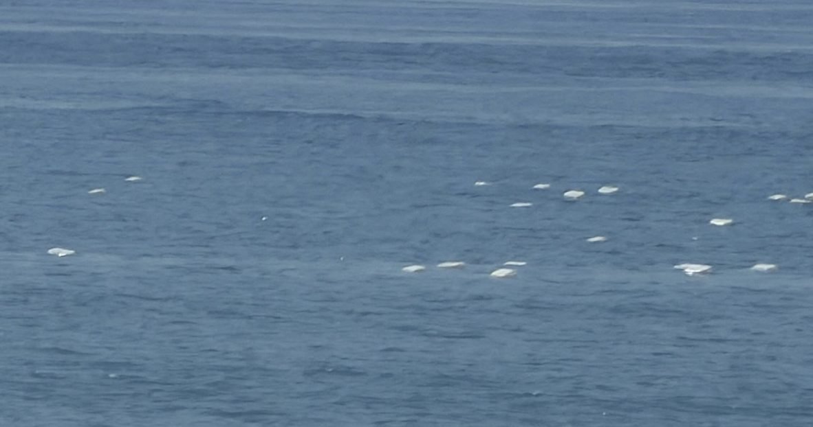 Aparecen numerosos fardos en la playa de Elviria en Marbella y apuntan a hachís - Fardos droga Fardos aparecidos en la costa marbellí