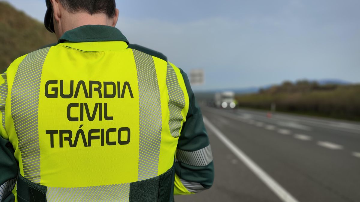 Roba un coche de alta gama en Marbella y acaba detenido tras una peligrosa persecución por Sevilla - guardia civil trafico guardia civil trafico