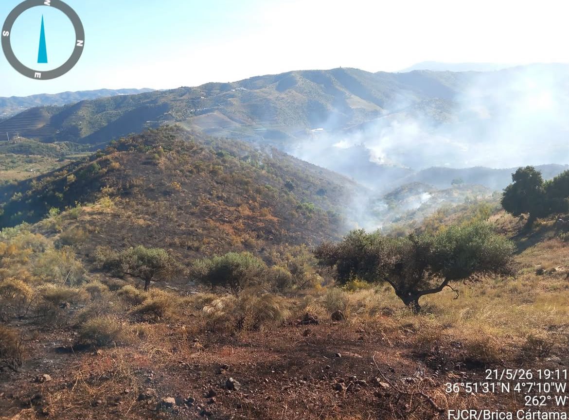 Andalucía activa la fase de preemergencia por incendios forestales: hay desalojados en Málaga - incendio forestal canilla aceituno incendio forestal canilla aceituno