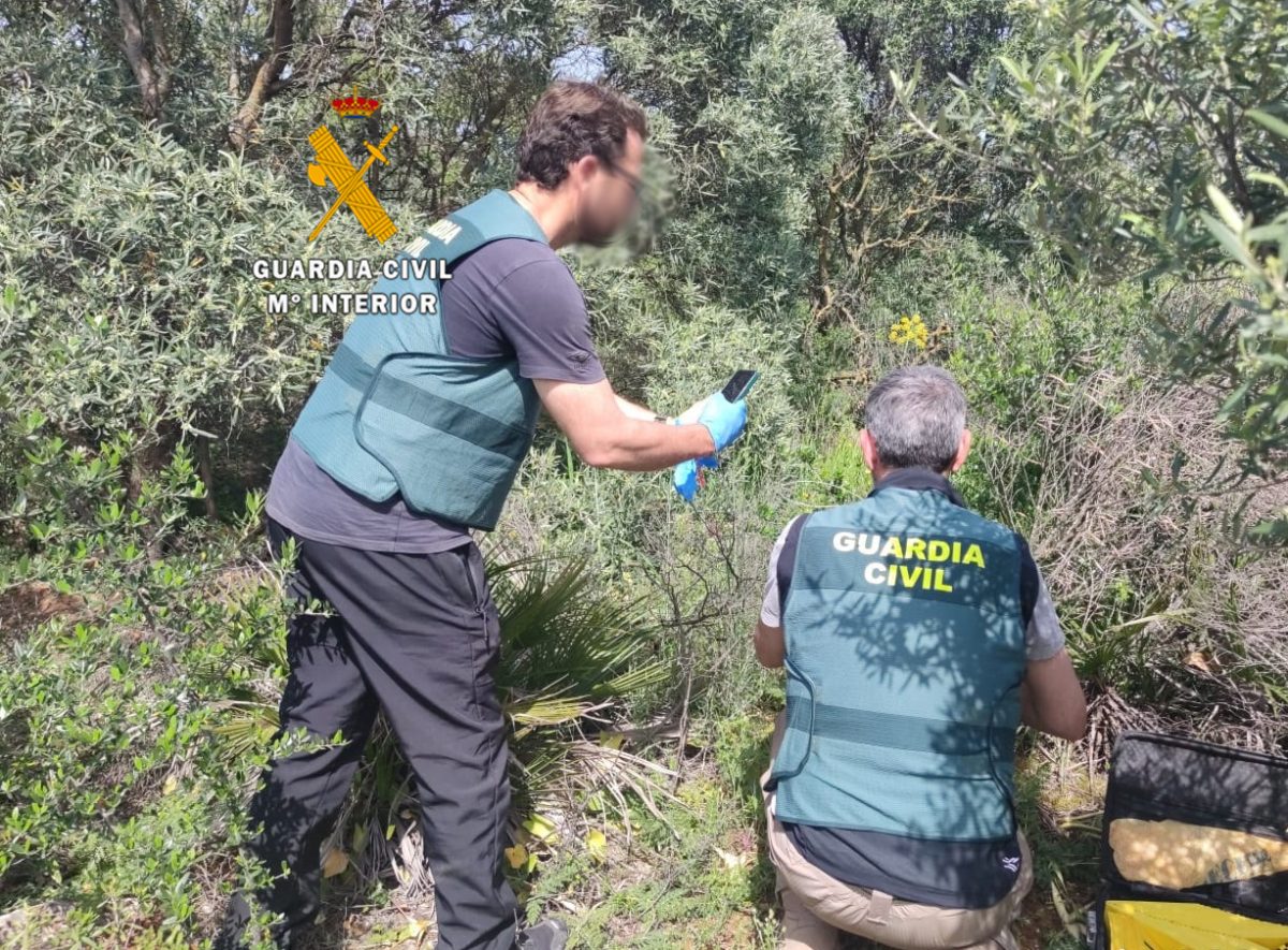 Investigan a cuatro personas por caza furtiva en Campillos tras hallar 84 animales muertos - seprona seprona