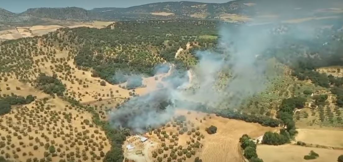 Fuego activo en Ronda: amplio operativo para frenar las llamas en zona forestal - Incendio Ronda Incendio forestal en Ronda
