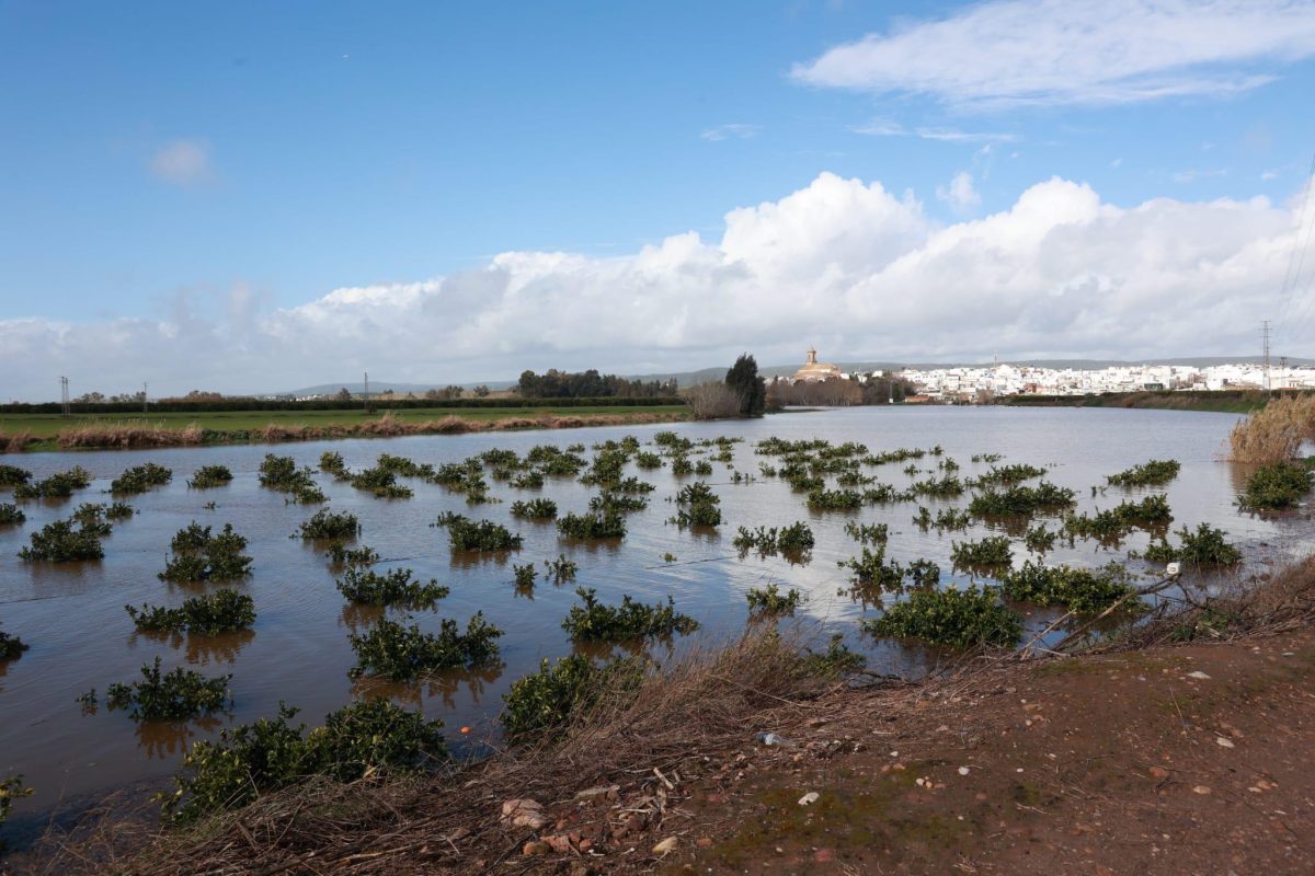 Las ayudas de la Junta al campo andaluz por las borrascas no tendrán que pagar impuestos - Inundaciones por tren de borrascas Inundaciones por tren de borrascas