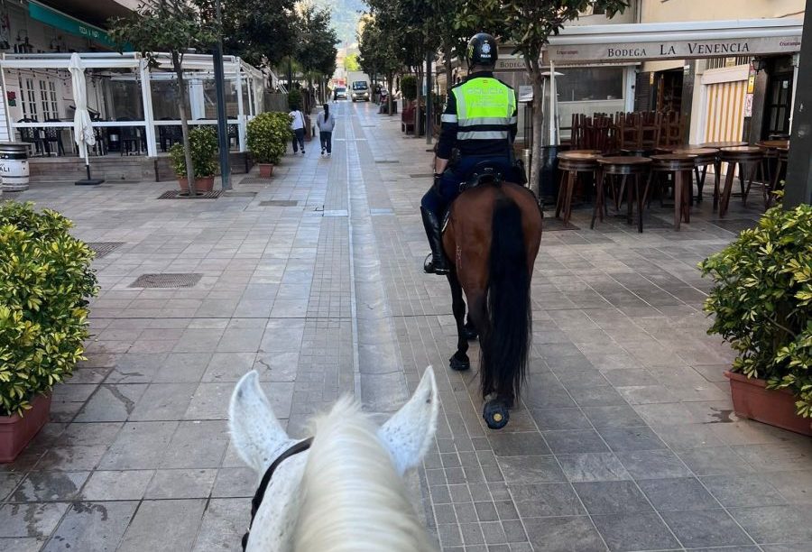 Cinco caballos que formaron parte de la Policía Local de Marbella buscan un nuevo hogar tras su jubilación - escuadron caballeria policia local marbella e1782846143311 Cinco caballos que formaron parte de la Policía Local de Marbella buscan un nuevo hogar tras su jubilación - escuadron caballeria policia local marbella e1782846143311