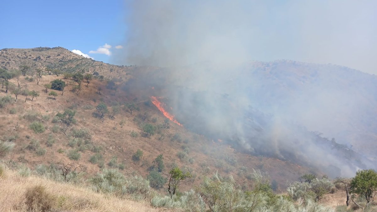 Declarado un incendio forestal en Casabermeja - incedio forestal en casabermeja incedio forestal en casabermeja