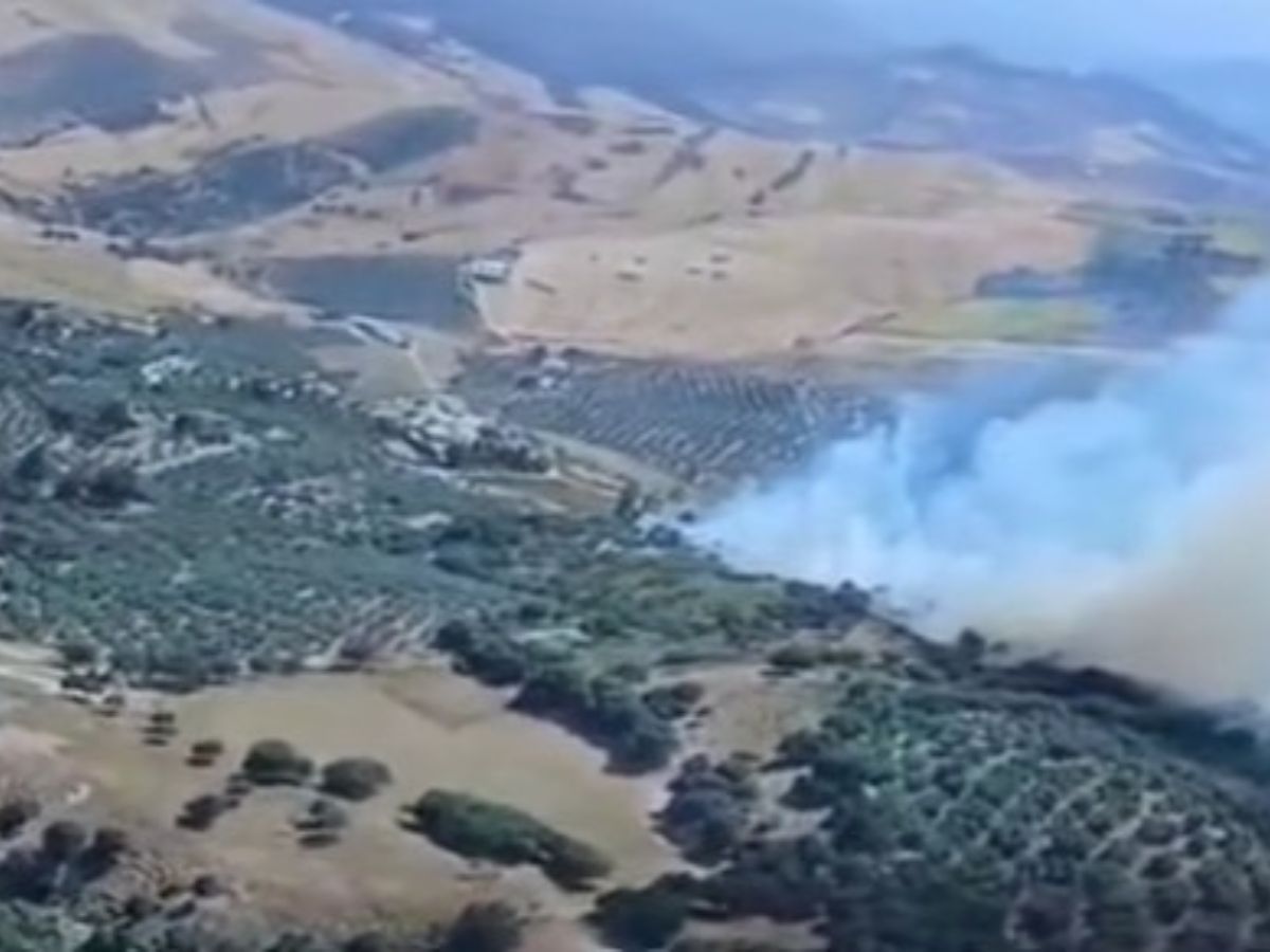 Declarado un incendio forestal en Antequera - incendio forestal antequera 2 incendio forestal antequera (2)