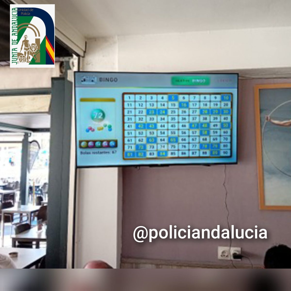 FOTO BINGO BALOO
