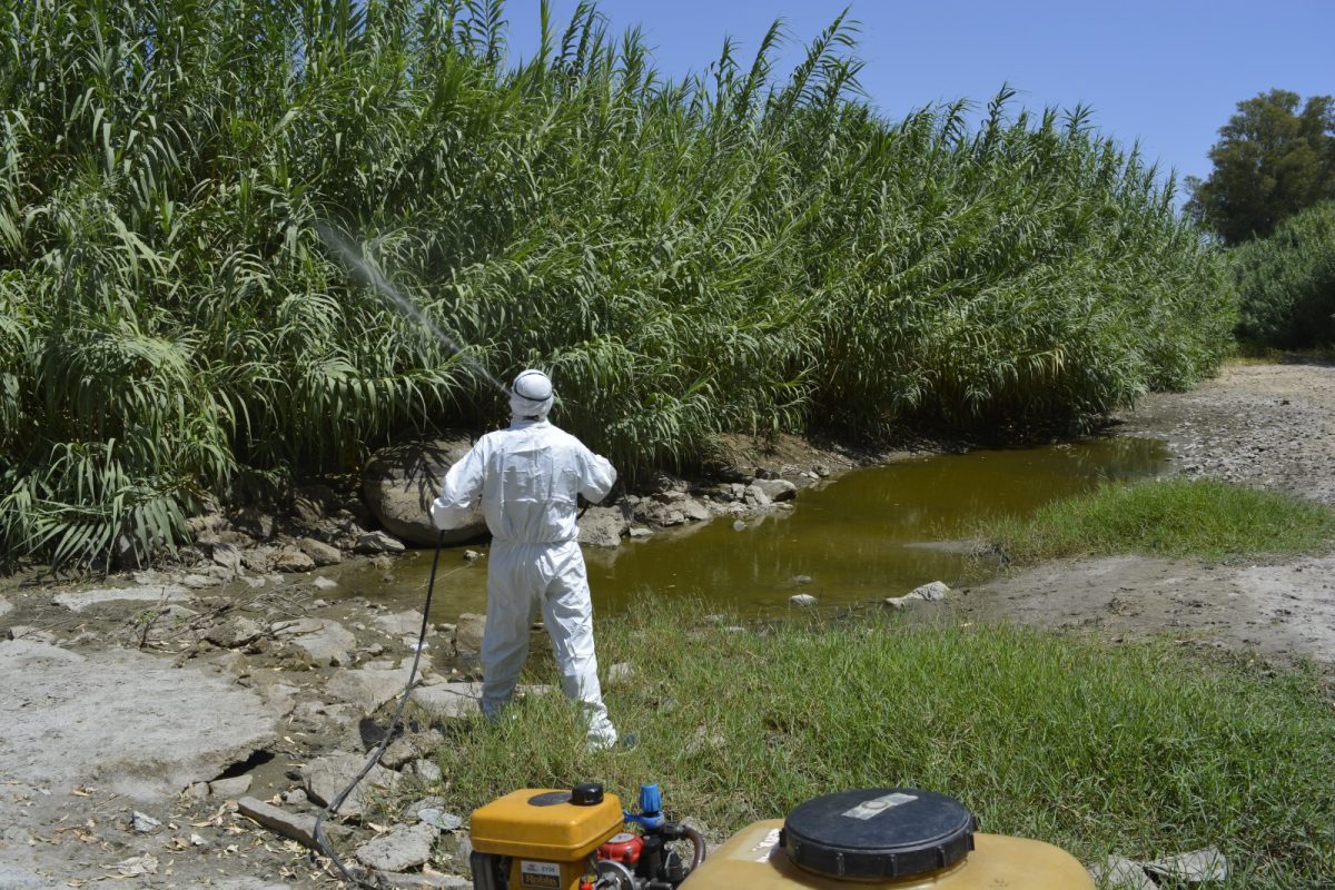 Mijas fumigará cada semana las zonas húmedas ante la alerta por el mosquito del virus del Nilo - Fumigacion mosquito virus Nilo Mijas Fumigación mosquito virus Nilo Mijas