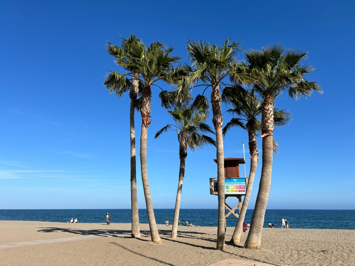 Mijas vigilará la presencia de bacterias en la arena de sus playas - Playa La Cala de Mijas Playa La Cala de Mijas