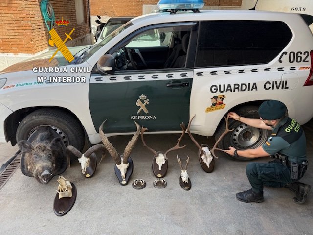 Investigan si varios trofeos de caza mayor hallados en Álora proceden de caza furtiva - Trofeos caza furtiva alora Trofeos caza furtiva alora