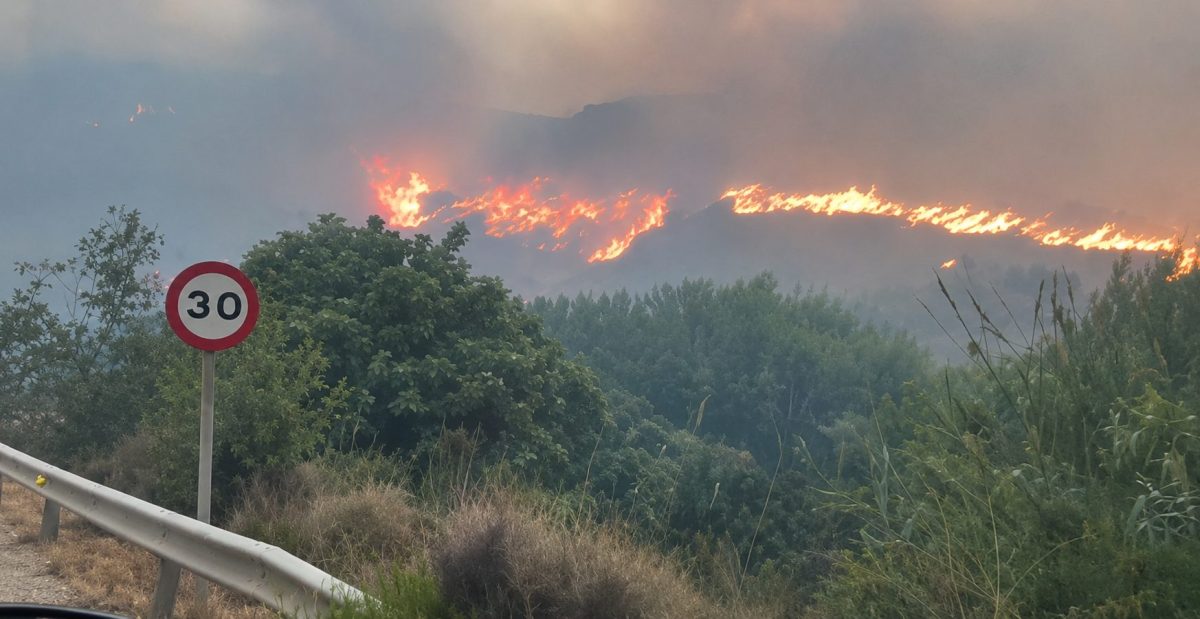 Juanma Moreno califica de «tragedia mayúscula» el incendio de Los Gallardos, con 12 muertos y 23 desaparecidos - incendio de Los Gallardos incendio de Los Gallardos