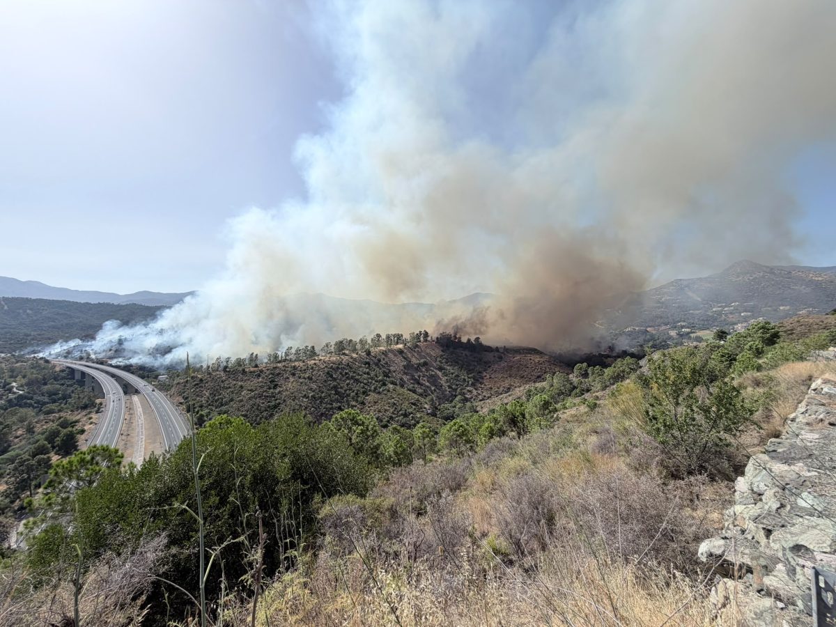 Elevan a situación de emergencia 1 el incendio forestal de Estepona con desalojos preventivos y la AP-7 cortada - incendio estepona benahavis incendio estepona benahavis