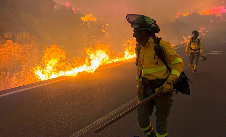Estabilizado el incendio de Los Gallardos tras arrasar 7 mil hectáreas - incendio forestal los gallardos almeria Estabilizado el incendio de Los Gallardos tras arrasar 7 mil hectáreas - incendio forestal los gallardos almeria