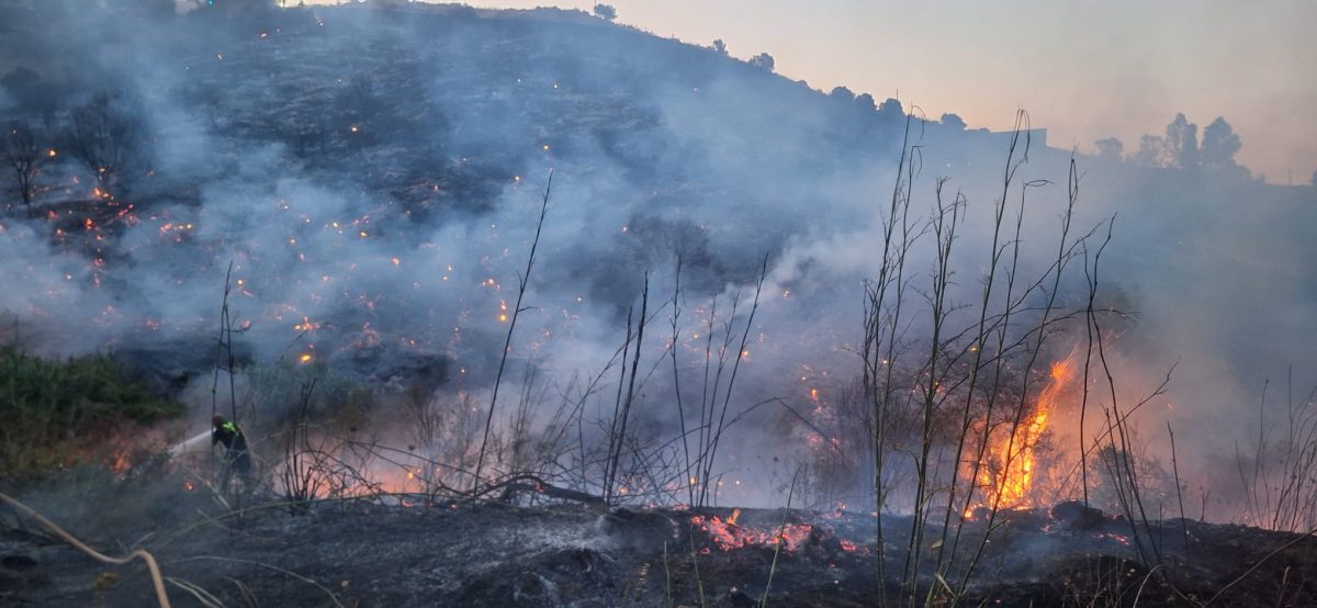 Susto en la Reserva de Marbella por un incendio que llegó a amenazar varias casas - incendio marbella Susto en la Reserva de Marbella por un incendio que llegó a amenazar varias casas