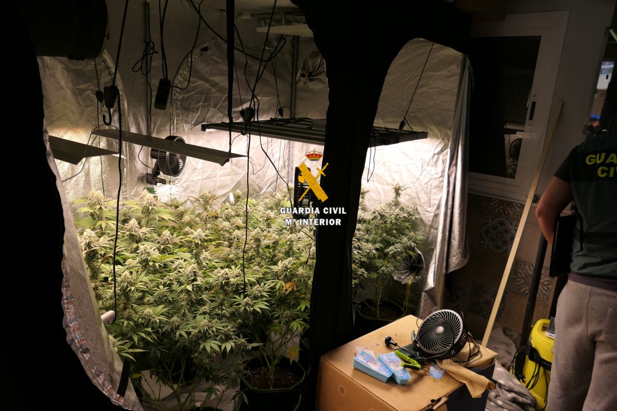 Desmantelan en Torrox un laboratorio clandestino donde elaboraban gominolas, aceites y otros productos con marihuana - laboratorio torrox 1 Desmantelan en Torrox un laboratorio clandestino donde elaboraban gominolas, aceites y otros productos con marihuana - laboratorio torrox 1